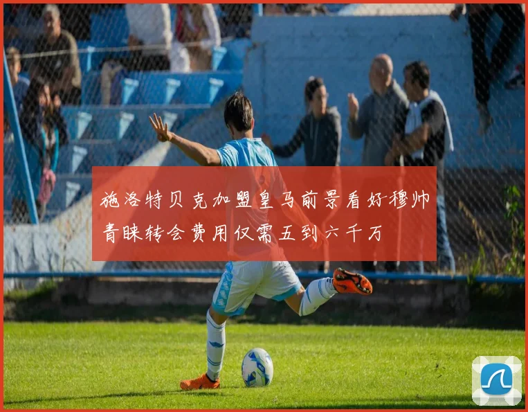 施洛特贝克加盟皇马前景看好穆帅青睐转会费用仅需五到六千万
