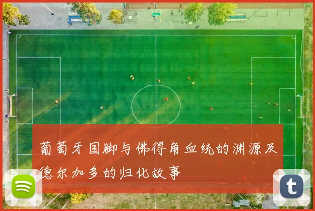 葡萄牙国脚与佛得角血统的渊源及德尔加多的归化故事