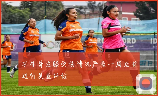 字母哥左膝受伤情况严重一周后将进行复查评估